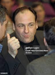 10.966 Hoya Hoya Stock Photos, High-Res Pictures, and Images