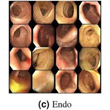 Dequan Wang's research works