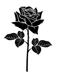 Check out the crafts you can make with these flowers in the crafts section below. Gpttrf3vysi6m