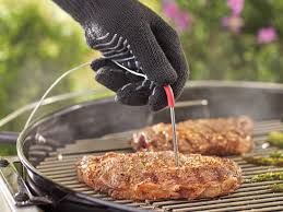 We did not find results for: 8 Best Smoker Thermometers Reviewed In Detail Jul 2021