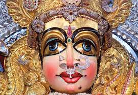 Image result for images of mavullamma