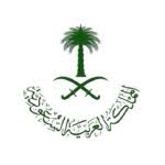 يا رسولَ اللهِ، أرأيتَ إنْ عَلِمْتُ أيُّ ليلةٍ ليلةُ القَدرِ، ما أقولُ فيها؟ Hjz 0lrsmma5vm