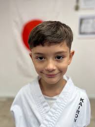 Karate software for tournaments: the best software for the rapid  development of any Karate Tournament: Registrations