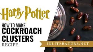 These are harry potter cockroach clusters. Cockroach Clusters Harry Potter Food In Literature Youtube