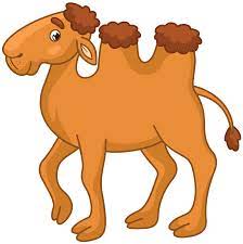 They heavily inspire most of my work. Bactrian Kamel Clipart Kostenloser Download Creazilla
