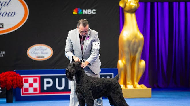 Who won the National Dog Show? Meet the 2025 Best in Show winner