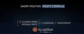 Deribit is currently the most popular margin trading platform which is open for the citizen of all the countries including the usa. How To Calculate Profit With Cfd Trading Iq Option Wiki