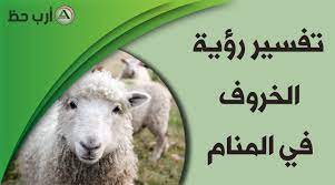 Nov 10, 2020 · شاهد تفسير حلم الأرنب في المنام لابن سيرين على جميع حالاته وألوانه وفي منام المتزوجة والعزباء والحامل والرجل أيضاً بتفسير ابن سيرين وابن شاهين والامام الصادق. ØªÙØ³ÙŠØ± Ø­Ù„Ù… Ø§Ù„Ø®Ø±ÙˆÙ ÙƒÙ„ Ù…Ø§ ÙŠØªØ¹Ù„Ù‚ Ø¨Ø±Ø¤ÙŠØ© Ø§Ù„Ø®Ø§Ø±ÙˆÙ ÙÙŠ Ø§Ù„Ù…Ù†Ø§Ù… Ø§Ø±Ø¨ Ø­Ø¸