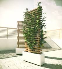 Mobile Vine Wall Um Nachbarn Zu Blockieren Bepflanzung Garten Landschaftsbau Garten