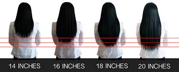 79 Described How Long Is My Hair Chart