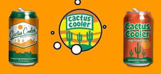 Fresh 12 pack cactus cooler soda!!! Amazon Com Cactus Cooler Orange Pineapple Soda 12 Oz 6 Pack Soda Soft Drinks Grocery Gourmet Food