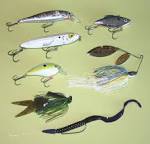 Large mouth bass bait