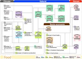 visualizing cause and effect of global warming about