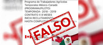 Canada pressed his forehead onto his own. Diario De Colima