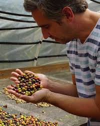 Kaffee BIO & FAIR Der entkoffeinierte Kaffee von Gourvita, 500g Bohne