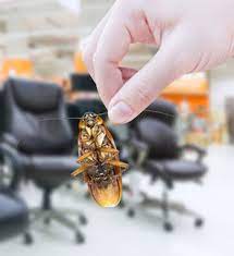 Alexandria pest service, inc provides professional pest control services for your home and business across virginia. Commercial Pest Control In Dc Alexandria Pest Services