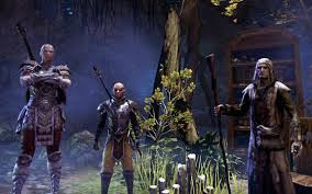 character height reference during design elder scrolls online