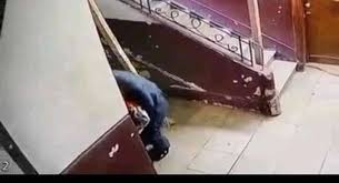 تفاصيل عن محل واقعة التحرش بطفلة في المعادي. Lcr02p2qurolrm