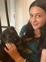 Trinity German Shepherd Dogs