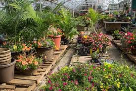Maybe you would like to learn more about one of these? 5 Nurseries And Garden Centers In Omaha