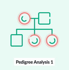 In both humans and cows, this sequence is part of a set of instructions for controlling a bodily function. Basics Of Human Genetics Amboss