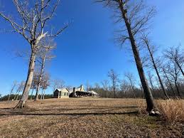 Image result for tbn:0PJB32OL7JwfOM::farm4.static.flickr.com/3324/3329876139_f2d551139f.jpg