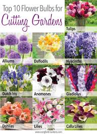 Pin On Gardening