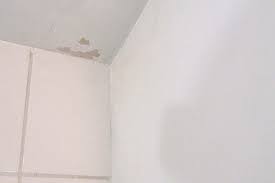 Schimmel in der wohnung sollten sie also sehr ernst nehmen. Schimmel An Der Decke Beseitigen Anleitung Tipps Vom Maler Streichen Diybook At