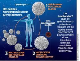 Dermatologie ont d'abord été utilisés pour la prise. Nobel 2018 L Immunotherapie Est Une Revolution Sciences Et Avenir
