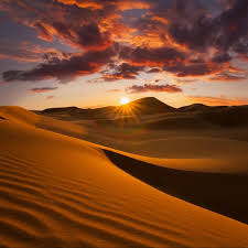 Find images of sahara desert. How To Visit The Sahara Desert Travelawaits