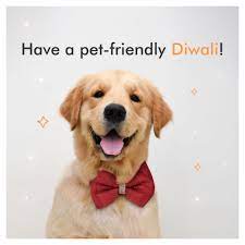 Diwali Headsupfortails Funny Animal Pictures Pets Animal Lover