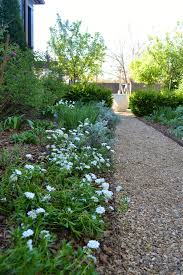 Outside The Box With Daniel Keeley April Update At Home In Arkansas In 2020 The Outsiders Arkansas Plants