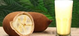 Suco de Cupuaçu 300ml