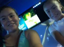 Donna Correa (donnacorreamaci)