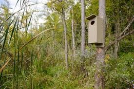 This duck house is actually a large duck house/ chicken coop. Plywood Wood Duck Boxes And Plans 9 Steps With Pictures Instructables