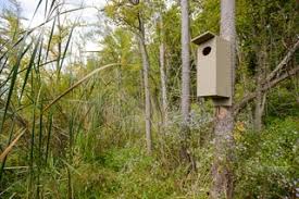 Such as png, jpg, animated gifs, pic art, logo, black and white, transparent, etc. Plywood Wood Duck Boxes And Plans 9 Steps With Pictures Instructables