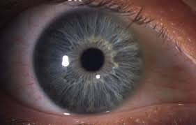 Das Gesunde Auge Institut Fur Augenheilkunde