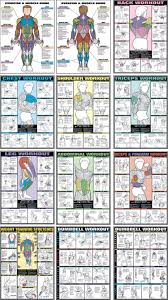 fitnus chart flip chart 12 posters in 1 book