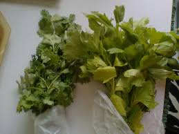 Daun ketumbar atau nama saintifiknya, coriandrum sativum mempunyai daun yang lebih kecil dan rimbun. Daun Sup Vs Daun Ketumbar Selalu Sgt Confused Klu Nk Bli Nk Bli Daun Sup Terbeli Daun Ketumbar Dah Kena Pegi Kedai Balik Beli Daun Sup Herbs Food Parsley