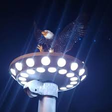 They will also help you decide the best option that fits. Solar Flagpole Light Triple Topper Finial Light Illuminationalley Com Illumination Alley