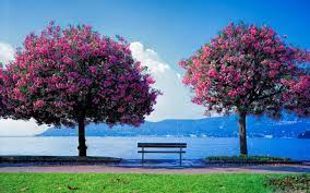 Looking for the best wallpapers? Spring Mac Wallpapers Wallpaper Cave