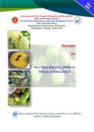 Image result for Pentarhopalopilia umbellulata