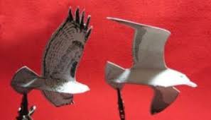Jun 24, 2018 · by. Make A Model Of A Bird In Flight John Muir Laws