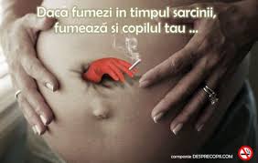 Tot conflictul a pornit de la un grup de arabi care au intrat în club după ce în prealabil mâncase în restaurantul de la parterul clădirii. Sarcina Si Fumatul Desprecopii Com