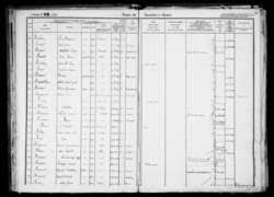 Individual : BOON, Bouches-du-Rhône, France