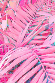 The Meaning And Symbolism Of The Word Pink Color