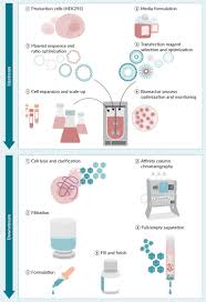 Image result for White 1997 AAV