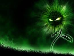 We did not find results for: Cool Pictures Wallpapers Wallpaper Cave