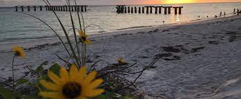 Abundant wildlife and diverse ecosystems can be enjoyed within the 1,600 acres of beaches, tidal marshes and nature trails that make up beautiful anastasia state park. Gasparilla Island State Park Florida State Parks