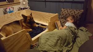 Breed german shepherd breed info. Our Story Badenheath